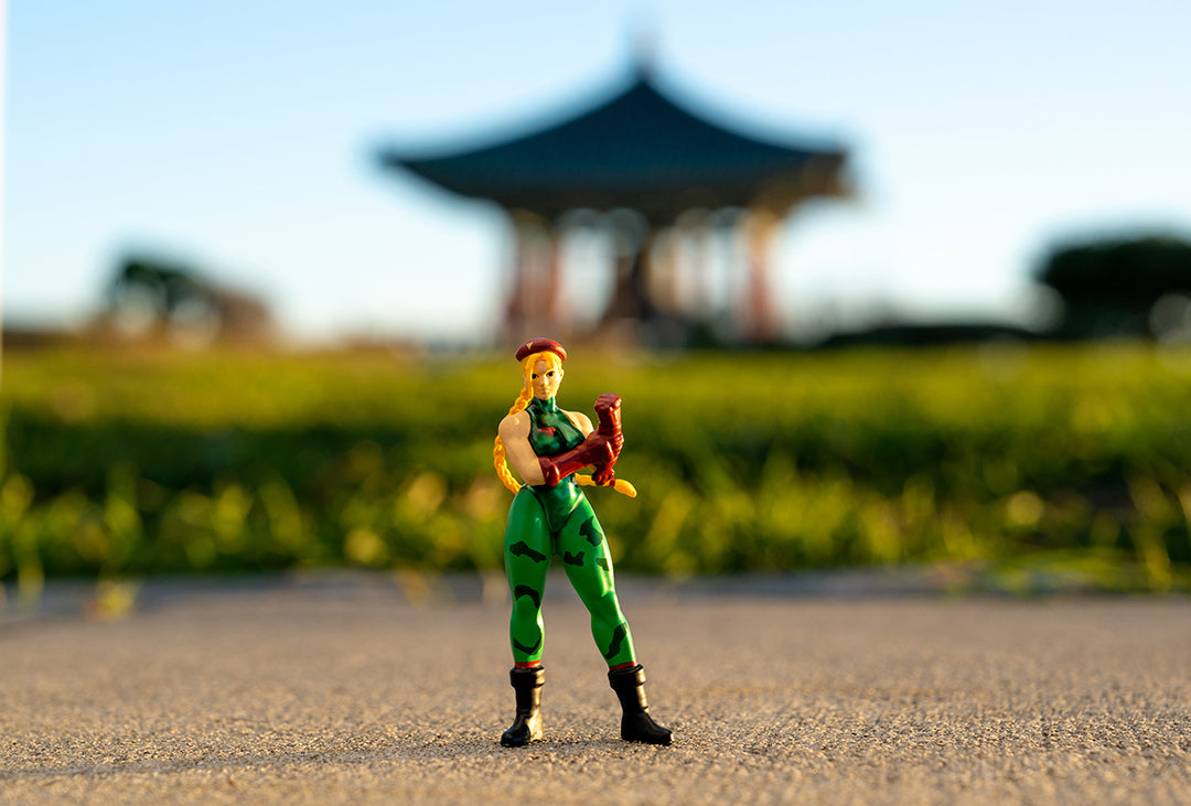 Cammy Street Fighter Figure, Street Fighter Cammy Toys